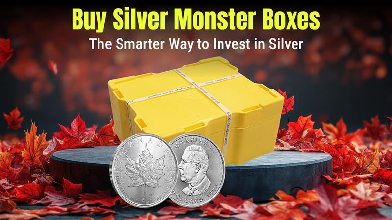 Buy Silver Monster Boxes