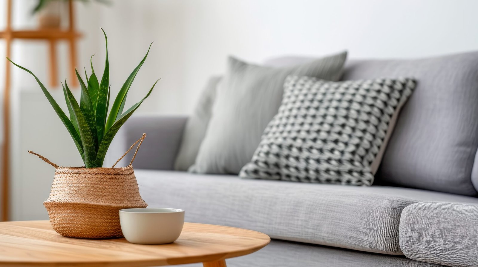 Refresh your home with practical steps
