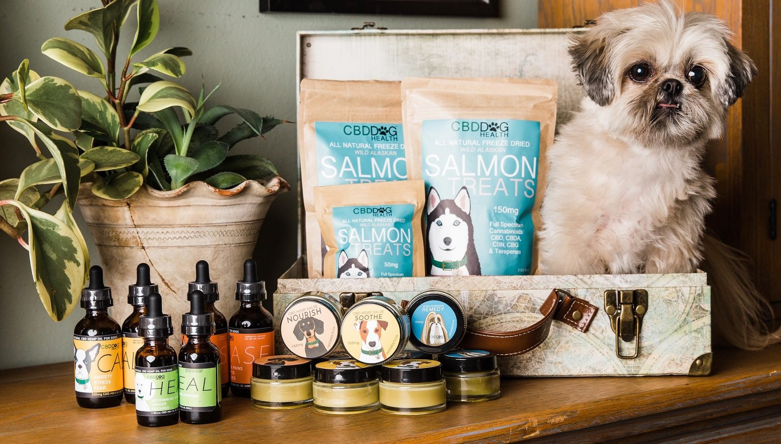Canine Supplements