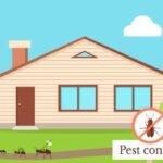 Residential Pest Extermination