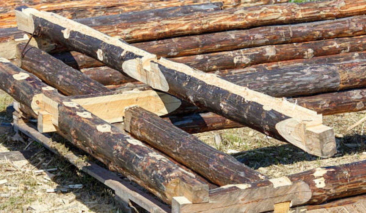 Building Your Own Log Cabin