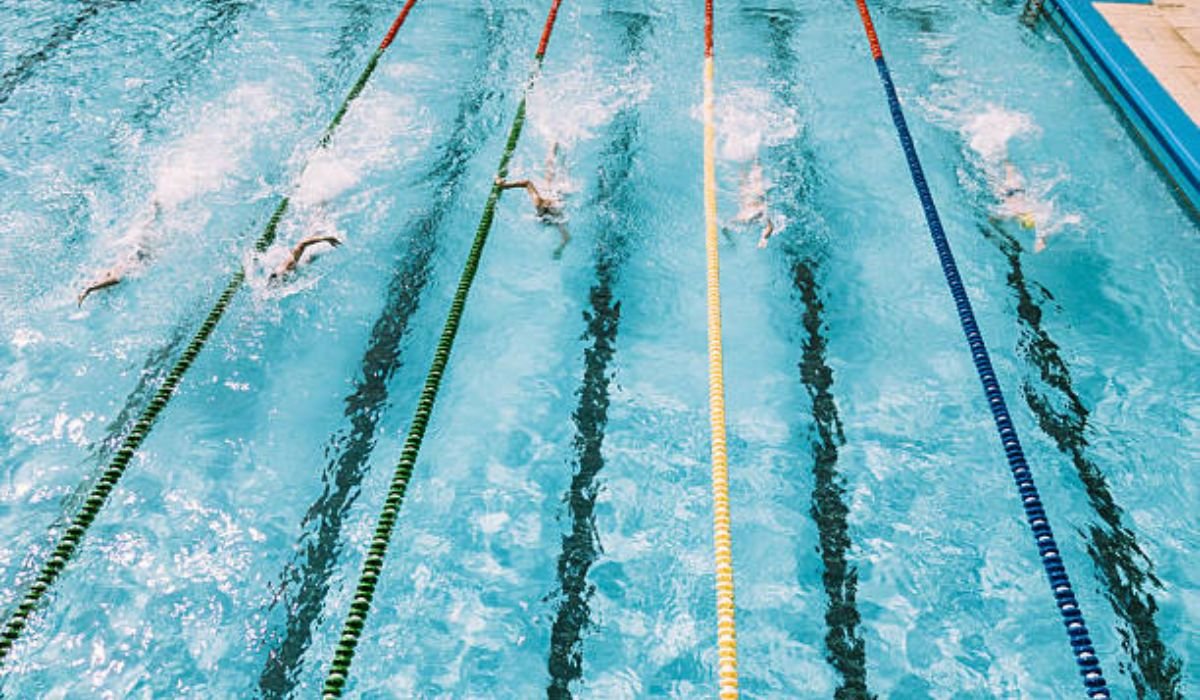 Swimming Lanes to Investment Lanes